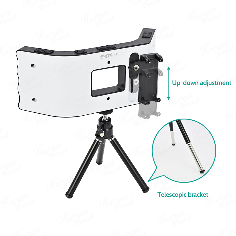 Kit de fotografía Dental, lint - Photography Video Lighting Kit reseña y precio
