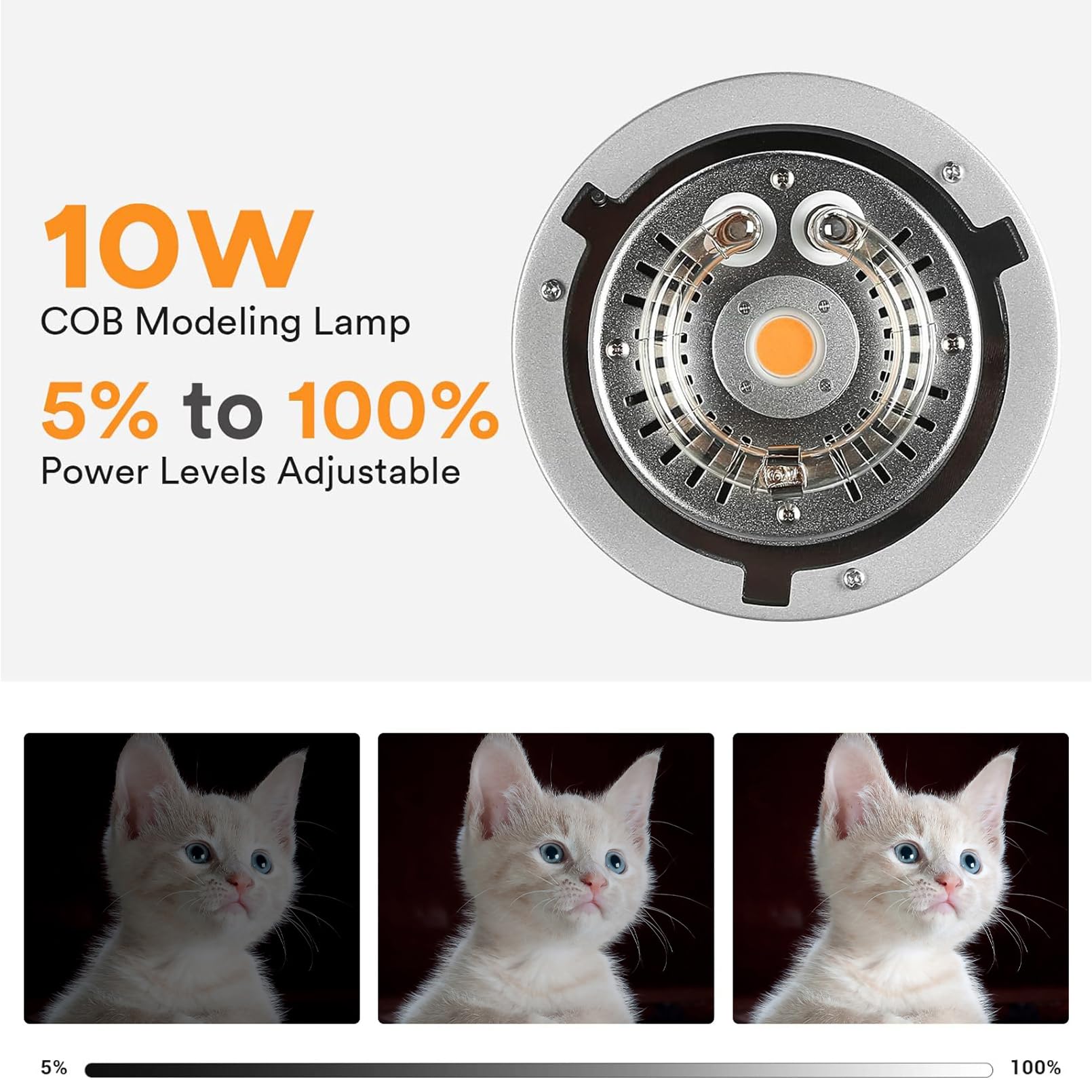 Godox MS200V luz de Flash estr - Portrait Photography With Lighting reseña y precio